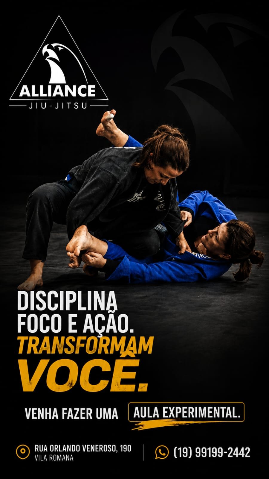 Disciplina, foco e ação transformam você